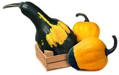 Üç kabak ile ahşap sandık