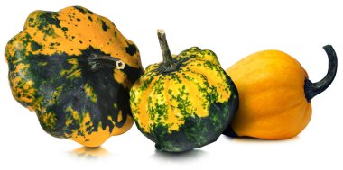 Beyaz izole üç dekoratif kabaklar