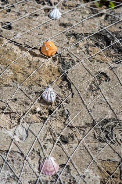 Рыболовная сеть с раковинами на скальном фоне — стоковое фото