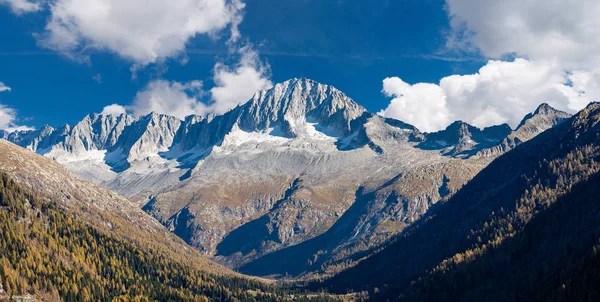 Pico de Cuidados Alto - Adamello Trento Itália — Fotografia de Stock