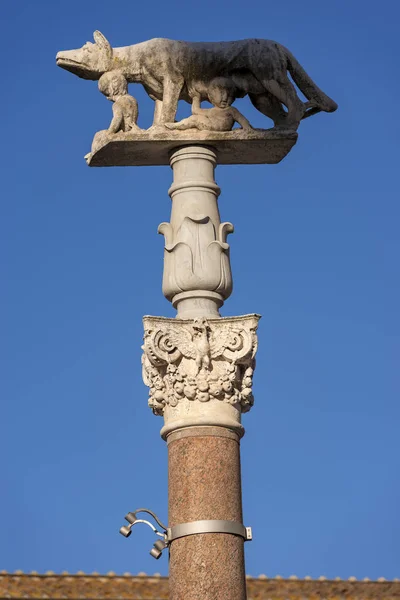 Lupa Senese - Symbol of Siena - Italy — Stock Photo, Image