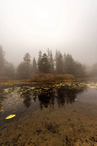 Małe alpejskie jezioro z mgłą - Lago di Cei Trentino Włochy — Zdjęcie stockowe