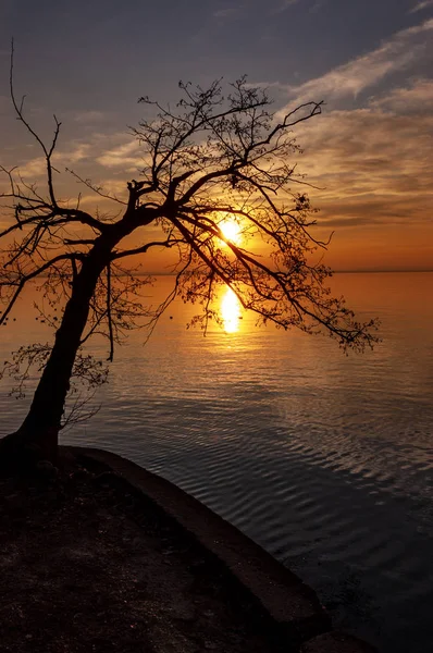 Gardasjøen ved solnedgang - Lazise Veneto Italia – stockfoto