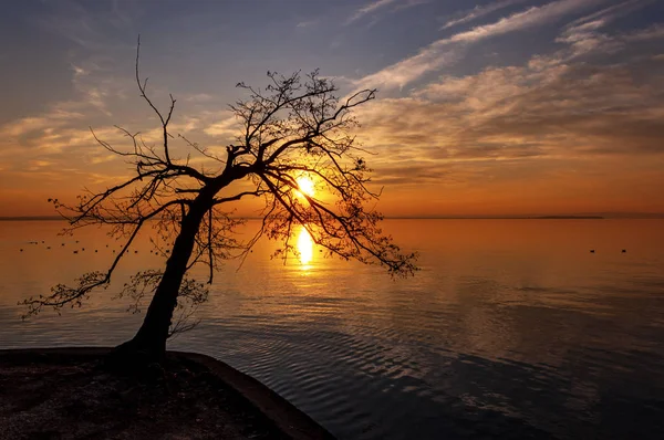 Gardasjøen ved solnedgang - Lazise Veneto Italia – stockfoto