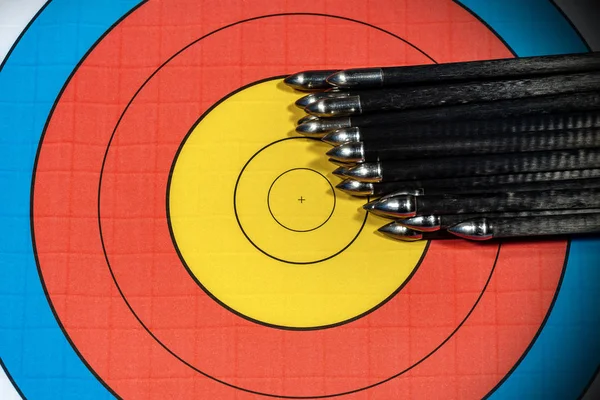 Target with large group of arrows - Archery Sport — 스톡 사진