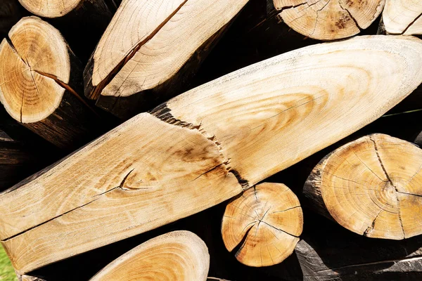 Close-up of cut and stacked tree trunks - Background — Stock Photo, Image