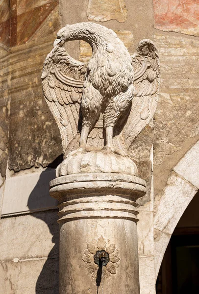 Trento City Closeup Eagle Fountain Piazza Del Duomo Cathedral Square — Stock Photo, Image