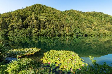 Lago di Levico, İtalyan Alplerinde küçük güzel bir göl, Valsugana vadisi, Levico Terme kasabası, Trentino Alto Adige, İtalya, Avrupa