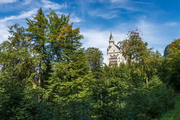 Kasteel Neuschwanstein Nieuw Kasteel Swanstone Schloss Neuschwanstein Xix Eeuw Bezienswaardigheid — Stockfoto