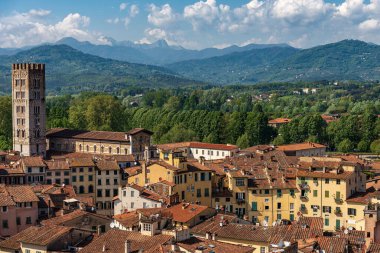 Lucca 'nın San Frediano Bazilikası (Torre dei Guinigi) ve Amphitiyatro Meydanı (Piazza dell Anfiteatro)' ndan havadan görünüşü. Toskana, İtalya, Avrupa