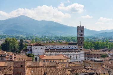 Lucca 'nın havadan görünüşü Guinigi Kulesi' nden (Torre dei Guinigi) San Martino Katedrali 'nden (Saint Martin), Roma Gotik tarzı, XI. Toskana, İtalya, Avrupa