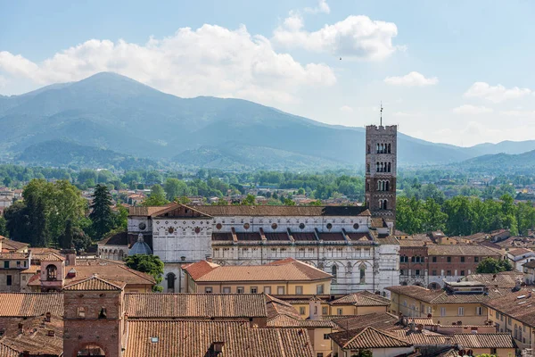 从吉尼吉塔 Torre Dei Guinigi 到圣马丁诺主教座堂 圣马丁 的Lucca的空中景观 罗马哥特式 十一世纪 意大利托斯卡纳 — 图库照片