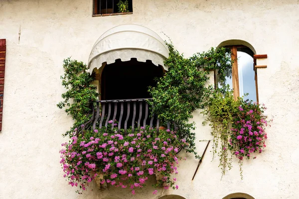 Primer Plano Balcón Una Ventana Con Hermosos Geranios Rosados Jazmín — Foto de Stock