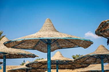 Açık mavi gökyüzünde bir grup saman plaj şemsiyesi. Kızıl Deniz, Marsa Alam, Mısır, Afrika.