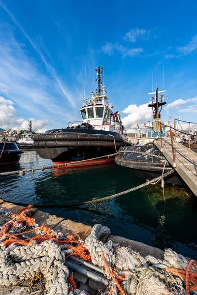 Grupp Bogserbåtar Förtöjda Hamnen Spezia Bundna Med Hawsers Till Kajen — Stockfoto