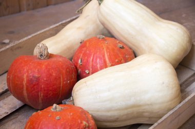 Ahşap kutusunda turuncu ve beyaz kabak