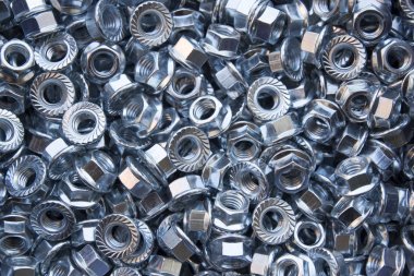 Gümüş fındık portre