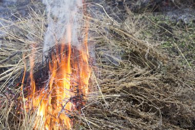 Güçlü kuru ot yanan ateş