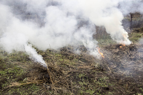 Smoke from smoldering dry grass