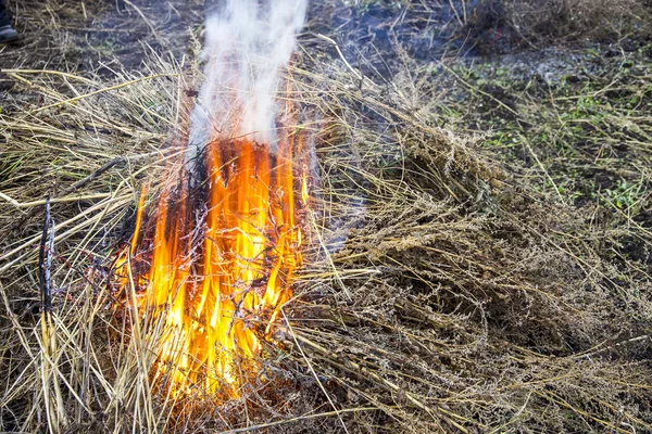 Feu fort provenant de la combustion d'herbe sèche — Photo