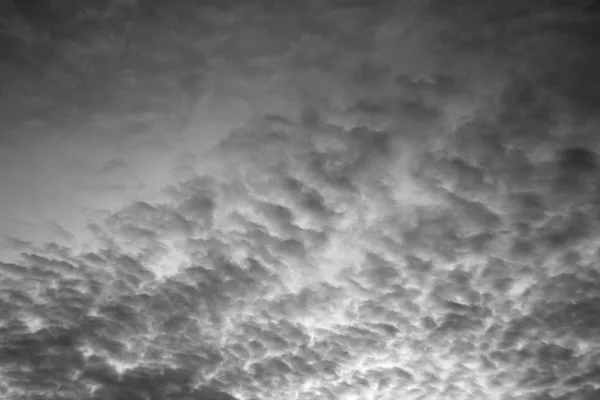 Cumulus clouds in gray sky