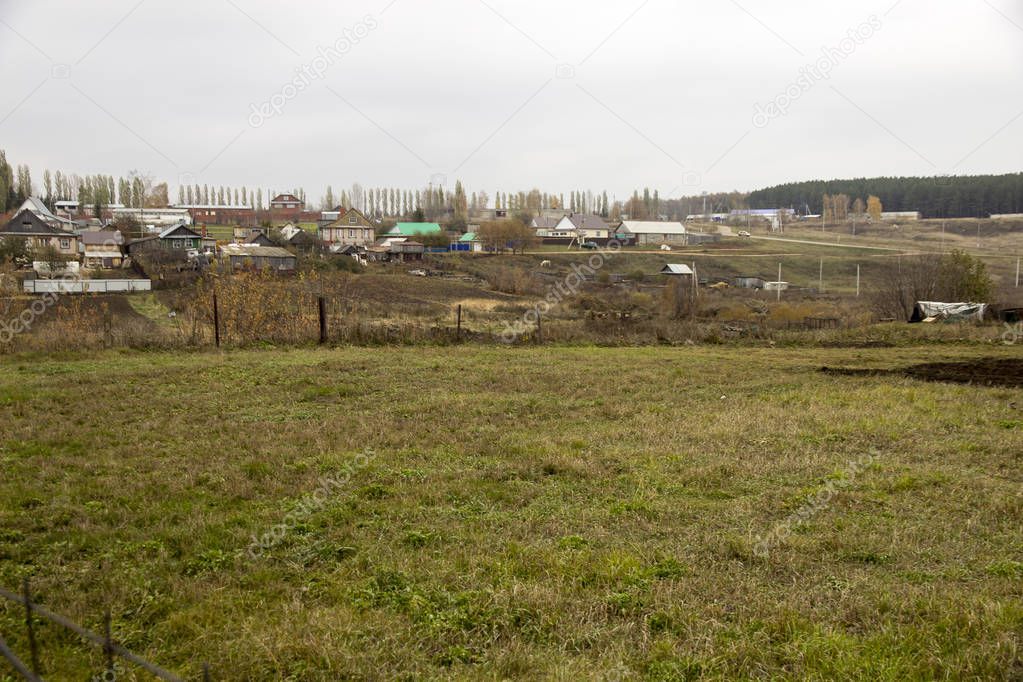 Mowed grass against backdrop of Russian village