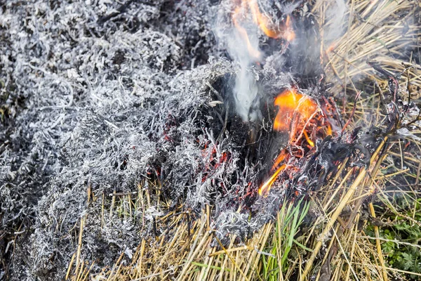 Noir de brûler l'herbe sèche sur le feu — Photo