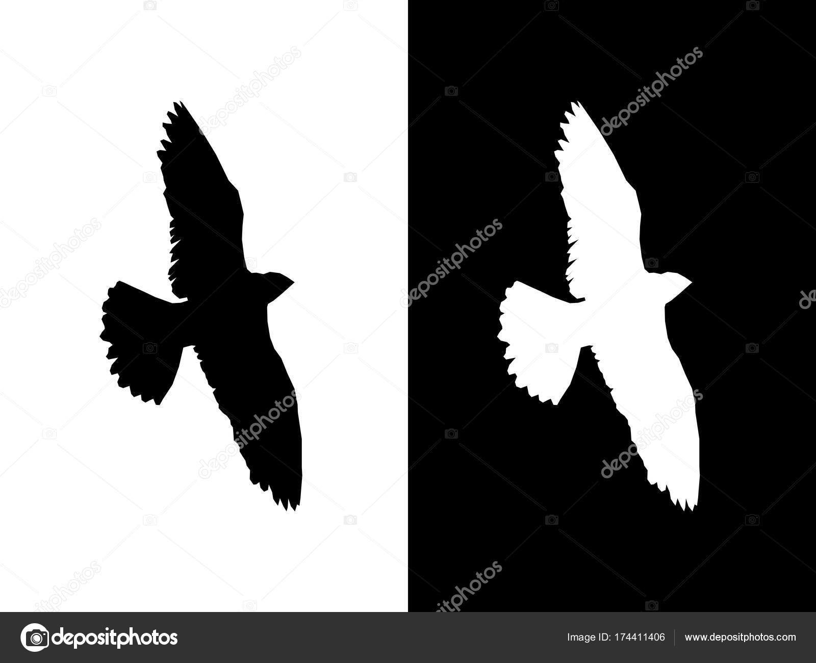 Ombre Du Vol Des Oiseaux Set Vector Image Vectorielle