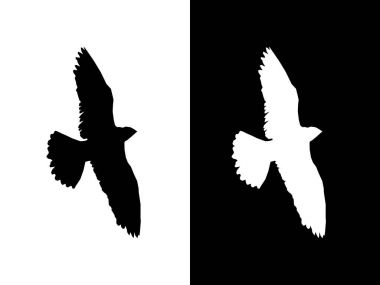 Gölge kuş uçan. Vektör set