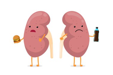 Hüzünlü, sağlıksız bir böbrek hastası. Elinde fast food içecek şişesi ve hamburger tutuyor. İnsan anatomisi üreme sistemi iç organları hasta. Vektör kötü beslenme bağımlısı çizimi