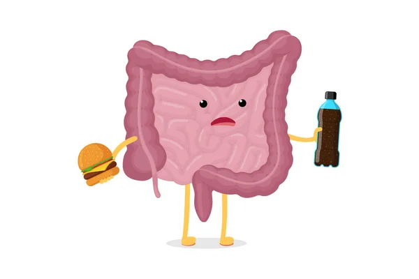 Sad Sick Intestine Character Soda Bottle Burger Abdominal Cavity Digestive — Stock Vector