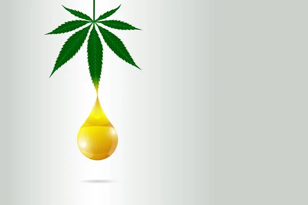 Óleo de cânhamo CBD do conceito de cartaz de cannabis medicinal. Extrato de folha de maconha gota modelo de design de rótulo de produto natural. Ilustração vetorial — Vetor de Stock