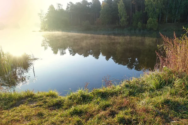 Vackert landskap av höstskog med fjällsjö. Royaltyfria Stockfoton