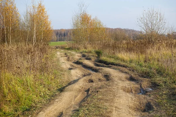 田舎に泥だらけの道 — ストック写真