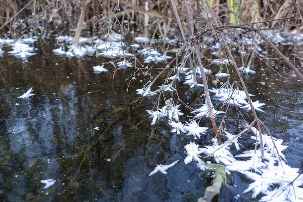 Zimní krajina. Led zamrzlého jezera s rákosím a ledovými krystaly. — Stock fotografie