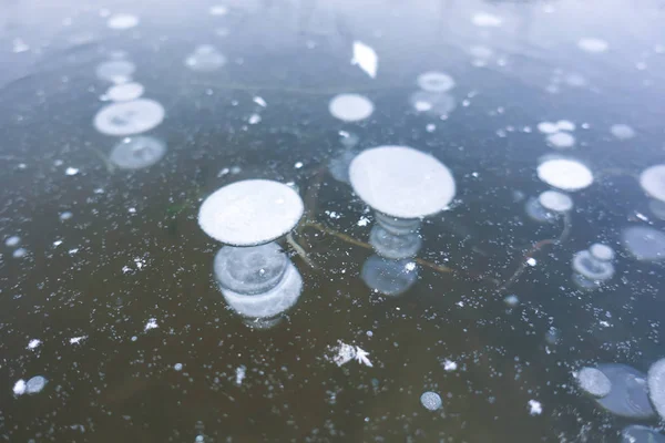 Lago congelado Burbujas de aire congeladas en el hielo del lago. Fondo hermoso invierno — Foto de Stock