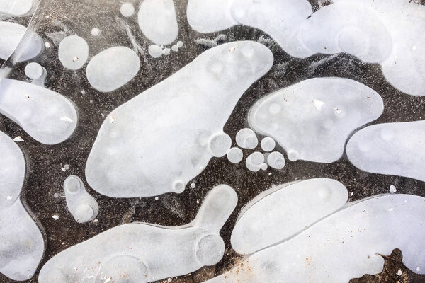 Beautiful abstract white ovals on frozen ice.