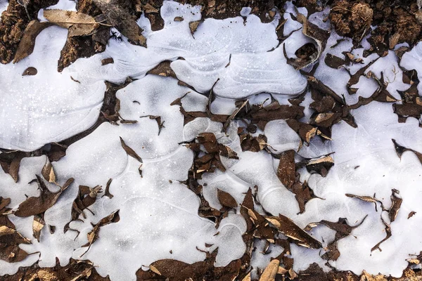 Красиві абстрактні білі овали на замороженому льоду . — стокове фото