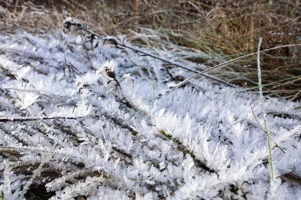 Tráva je pokryta krystaly ledu a sněhu. Krásné zimní pozadí — Stock fotografie