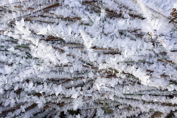 A grama é coberta com cristais de gelo e neve. Belo fundo de inverno — Fotografia de Stock