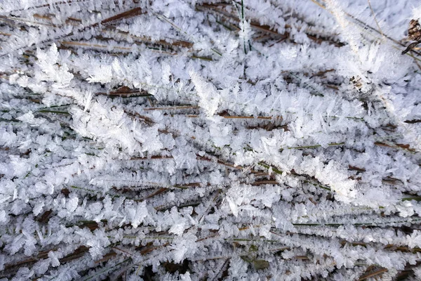A füvet jég és hó borítja. Gyönyörű téli háttér — Stock Fotó