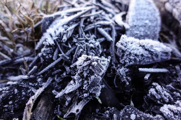 Dřevo na podpal v vyhaslém táborovém ohni pokrytém ledovými krystaly. — Stock fotografie