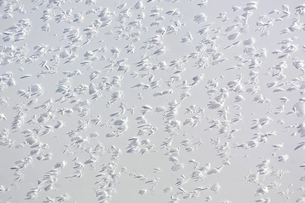 Snow Crystals White Wall Lit Snow Crystals Cast Shadow — Stock Photo, Image