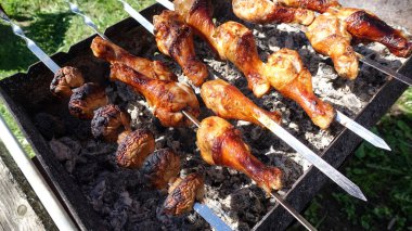 Izgara domuz kebabı. Kuzu kebabı. Salamura kafkas barbeküsü. Şiş kebap ya da Şiş kebap Doğu Avrupa ve Rusya 'da popülerdir..