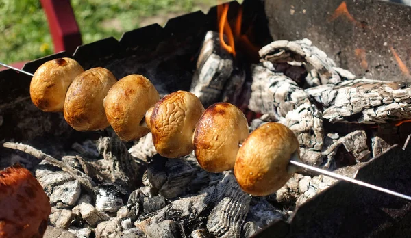 Nakrájené Houbové Houby Kebab Rusko — Stock fotografie