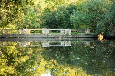 kırsal kesimde sonbahar küçük göl