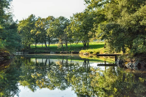 Podzimní malé jezero v krajině — Stock fotografie