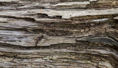 Ahşap arkaplan dokusuna zarar verir