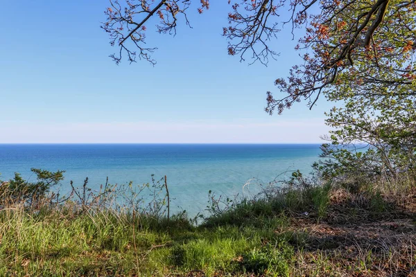 Beautiful Coast Lake Salient Water Green Forest — Stock Photo, Image