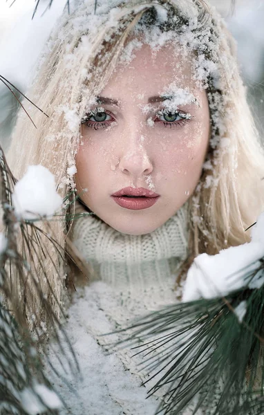 Jovem senhora salpicada de neve contra um fundo de pinheiros — Fotografia de Stock
